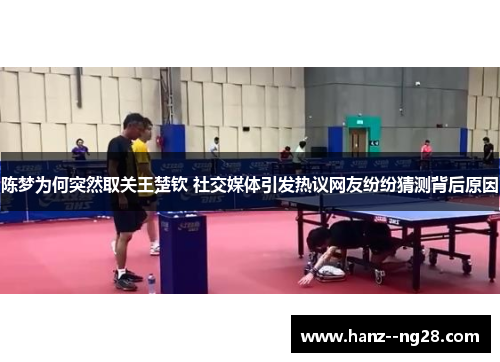 陈梦为何突然取关王楚钦 社交媒体引发热议网友纷纷猜测背后原因