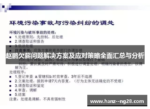 赵鹏欠薪问题解决方案及应对策略全面汇总与分析